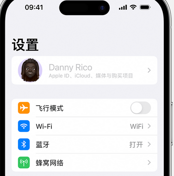 上犹appleID维修服务iPhone设置中Apple ID显示为灰色无法使用 