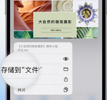 上犹apple维修中心分享iPhone文件应用中存储和找到下载文件