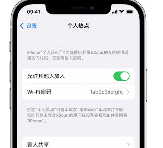 上犹apple服务站点分享iPhone上个人热点丢失了怎么办 