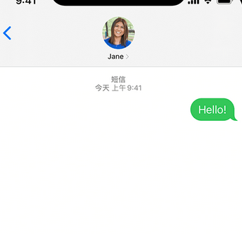 上犹apple维修iPhone上无法正常发送iMessage信息