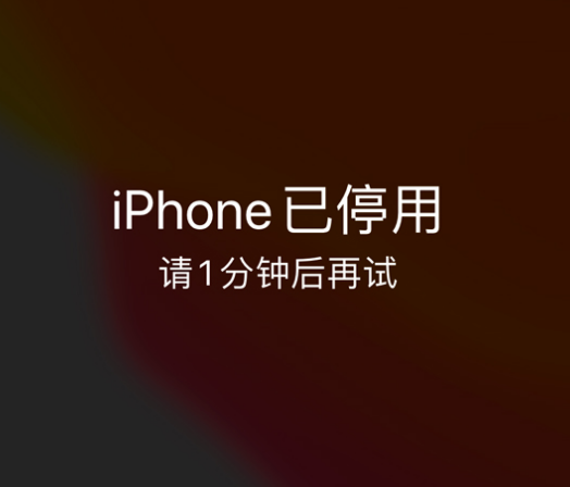 上犹苹果手机维修分享:iPhone 显示“不可用”或“已停用”怎么办？还能保留数据吗？ 