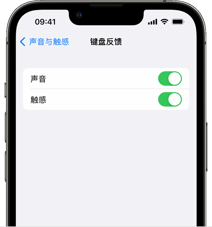 上犹苹果14维修店分享如何在 iPhone 14 机型中使用触感键盘 