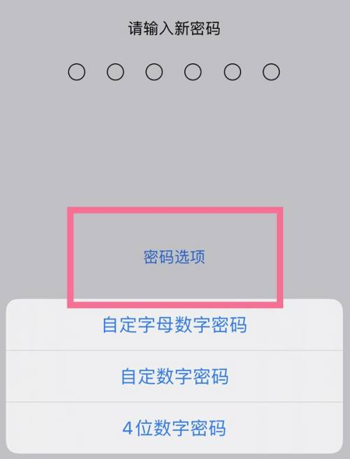 上犹苹果14维修分享iPhone 14plus设置密码的方法 