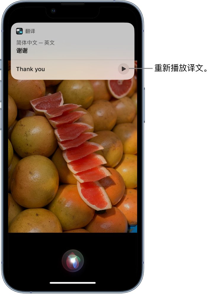 上犹苹果14维修分享 iPhone 14 机型中使用 Siri：了解 Siri 能帮你做什么 