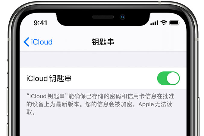 上犹苹果手机维修分享在 iPhone 上开启 iCloud 钥匙串之后会储存哪些信息 