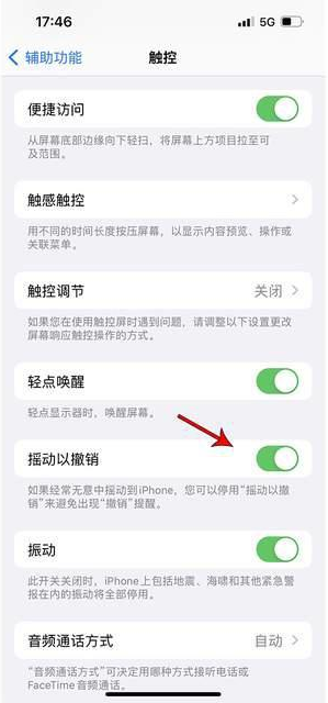 上犹苹果手机维修分享iPhone手机如何设置摇一摇删除文字 